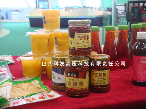 公司参加了“十一五”国家重大科技成果发布会