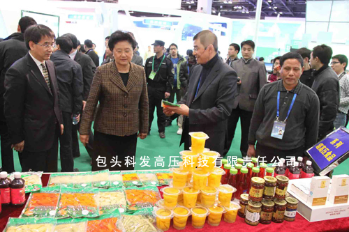 公司参加了“十一五”国家重大科技成果发布会